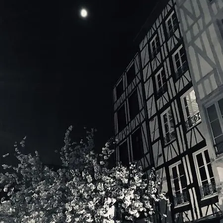Grand Studio Centre-ville Zen & Vivant * Rouen