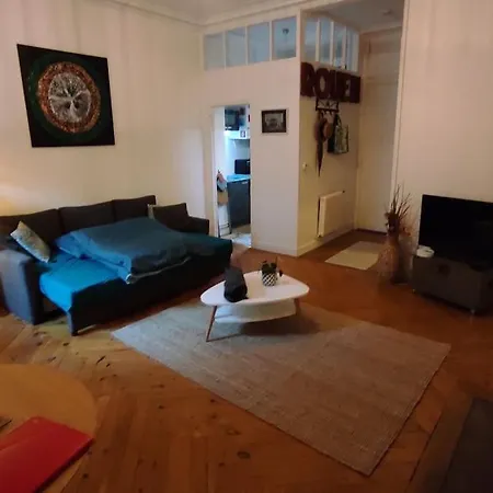 Grand Studio Centre-ville Zen & Vivant * Ruan