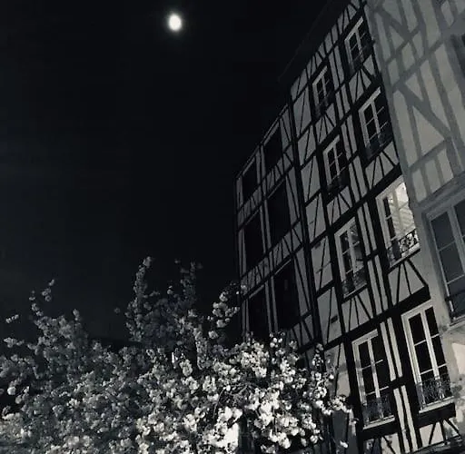 Grand Studio Centre-ville Zen & Vivant * Rouen