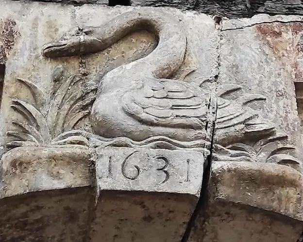 Grand Studio Centre-ville Zen & Vivant