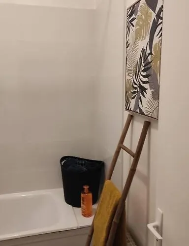 Grand Studio Centre-ville Zen & Vivant Apartment