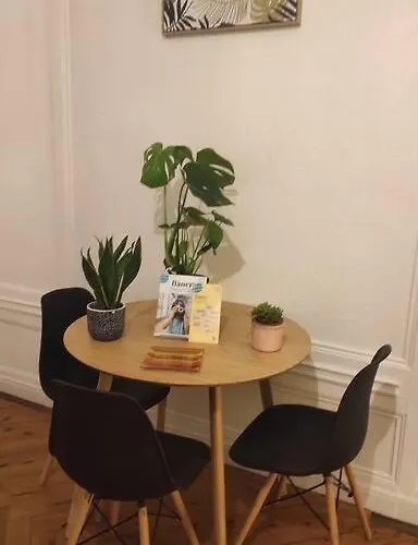 Grand Studio Centre-ville Zen & Vivant Apartment *